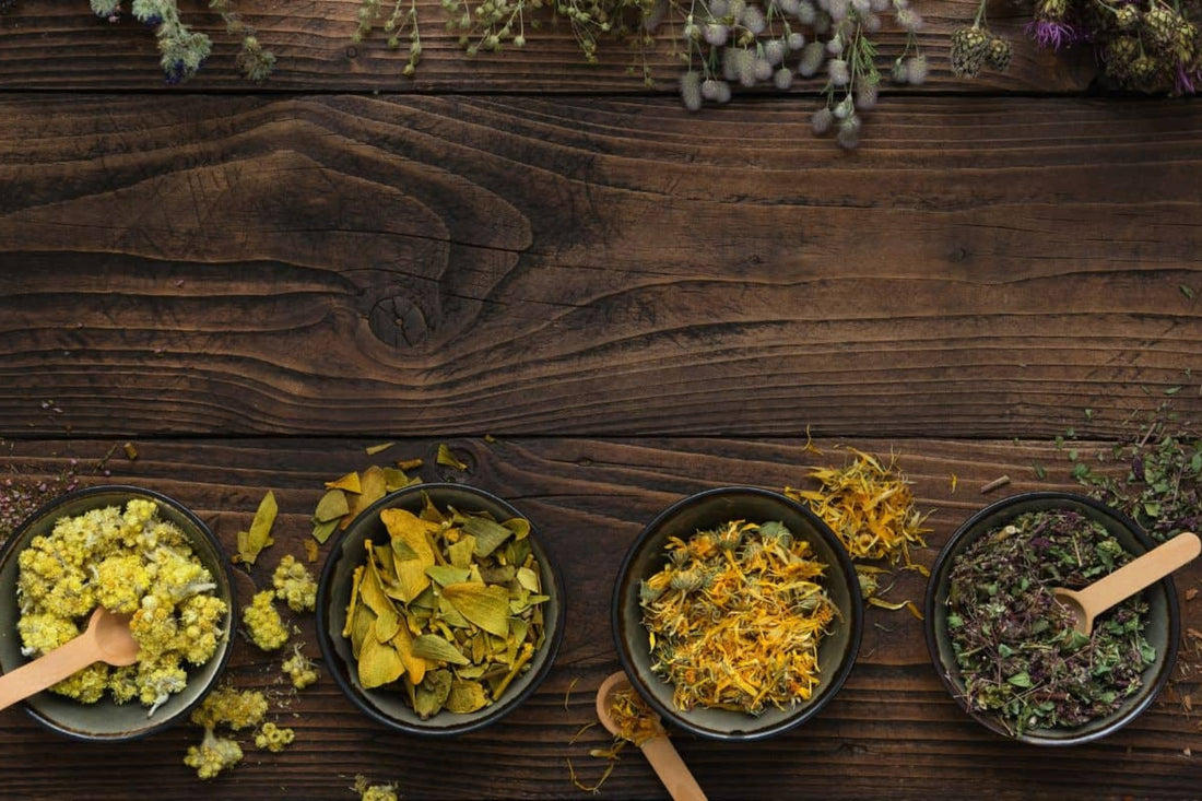 Here’s Why You Should Get Into Plant Medicine